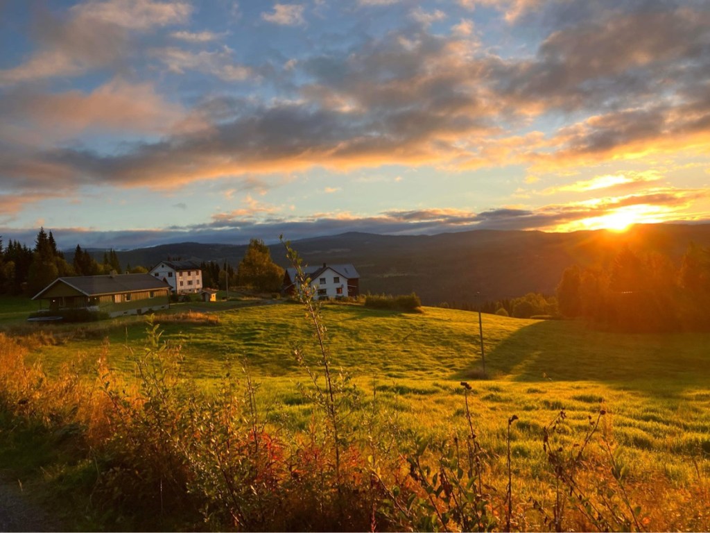 Vlog ep. 1 – I sommer kjøpte vi et&nbsp;småbruk